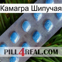 Камагра Шипучая viagra3